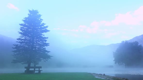 Morning Mist on Forest Lake