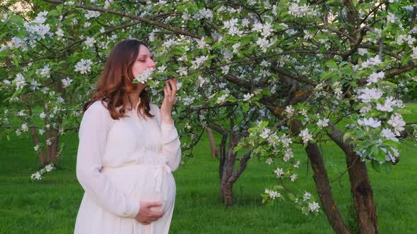Pregnant woman with apple tree flowers in spring nature. Happiness of pregnancy in blooming nature a