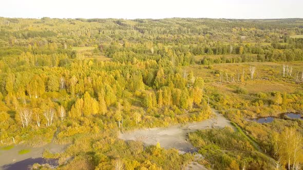 Autumn Swamp From Above