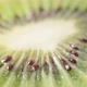 Kiwi Slice Close Up - VideoHive Item for Sale