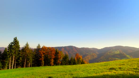 Autumn Vivid Pastures Near Forests