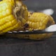 chef turns the roasted sweet corn on the grill with tongs.  - VideoHive Item for Sale