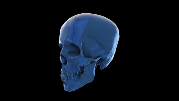 Crystal Skull alt