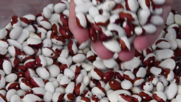 Female Hand Touch and Scatter Raw Kidney Beans Into Heap
