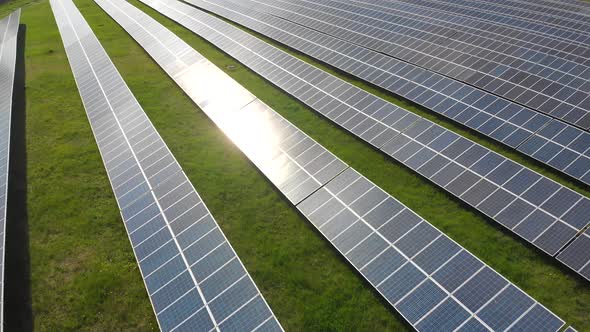 Solar Panels in Rows on the Field