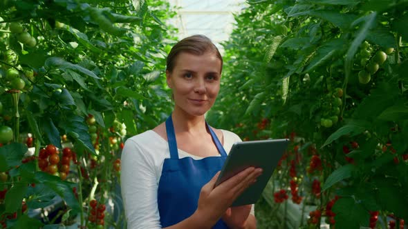 Botanical Scientist Doing Research Tablet Cultivation Tomatoes in Greenhouse alt