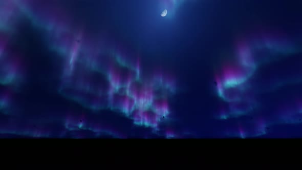 4 K Night Sky Aurora Borealis Loop 2
