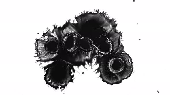 Abstract Ink Drops On Wet Paper