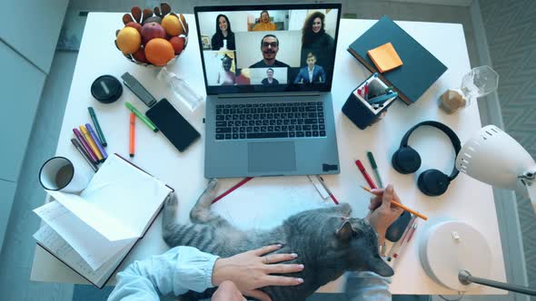 Online Teacher with a Cat Works on Laptop, Talking To Students alt