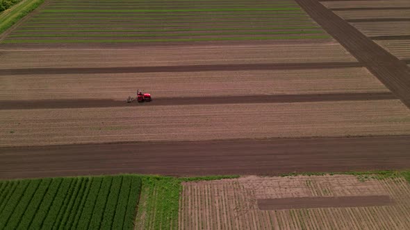 Agricultural Red Small Tractor in the Field Plowing Works in the Field alt