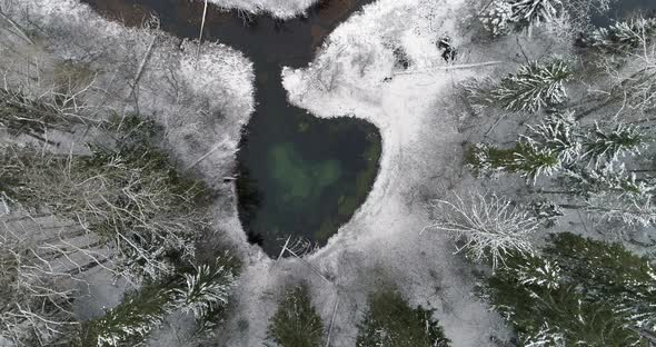 Aerial View of Spring Water Lake Surrounded By Snowy Trees in Forest in Winter alt