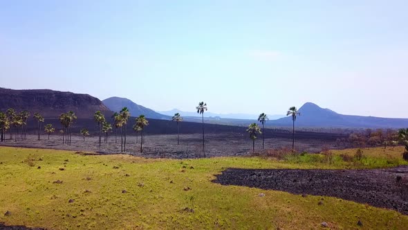 Forward flying drone shot over land scorched from a forest fire alt