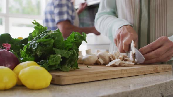Mid section of senior caucasian woman at home in the kitchen wearing an apron and chopping vegetable alt