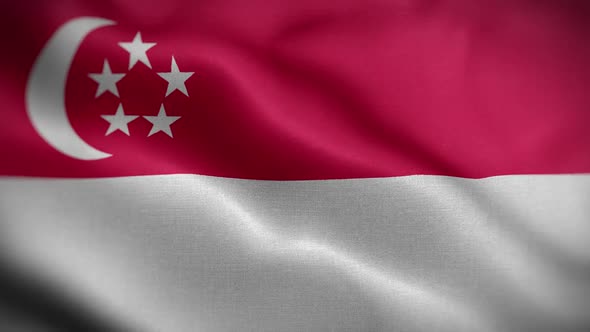 Singapore Flag Loop alt