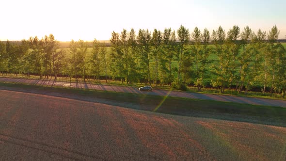 The Car Drives Along a Country Road Against the Backdrop of Trees alt