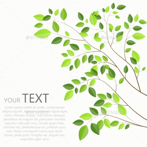 Beautiful Green Tree On a White Background Vector - Objects Vectors