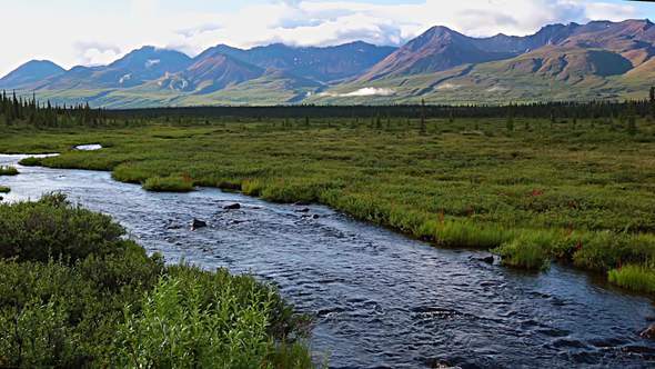 River in Alaska