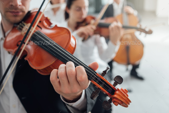 Orchestra string section performing - Stock Photo - Images