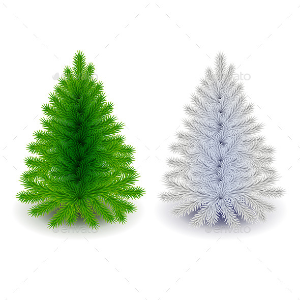 Green and White Christmas Tree Isolated on White - Christmas Seasons/Holidays