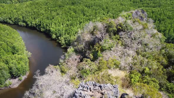 Aerial view of a woman standing on the mountain peak while traveling the mangrove forest viewpoint