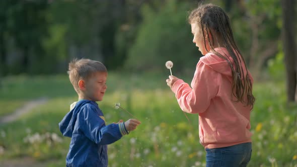 A Little Boy and Girl Blow on a Dandelion in the Park in the Spring.