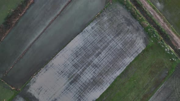 Sunrise Farm Field Texture 4 K alt