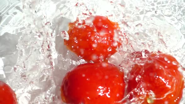 Tomato Falling 7 alt