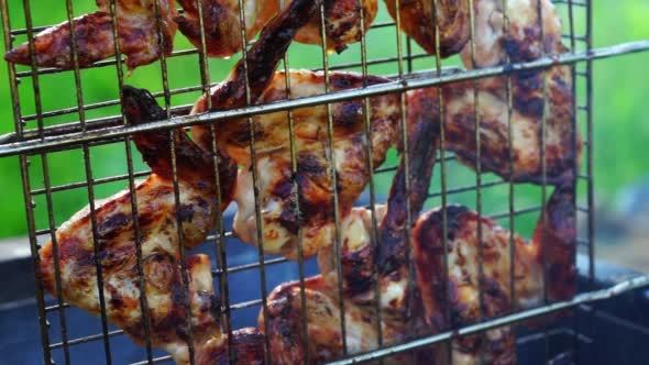 Grilled Meat on Barbeque