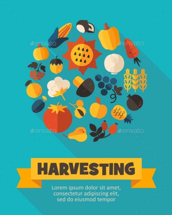 Harvest Fruits And Vegetable Poster Harvest Fruits And Vegetable Poster
