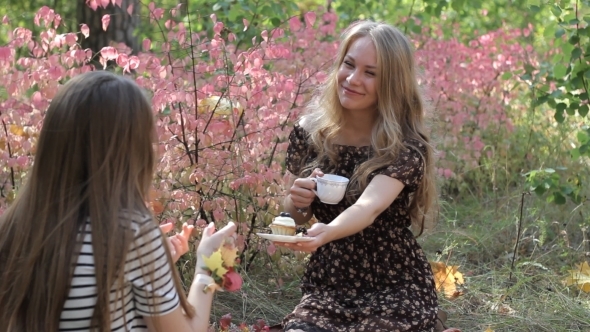 Young Women Drink Tea And Talking With Girlfriend