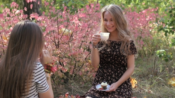 Young Women Drink Tea And Talking With Girlfriend