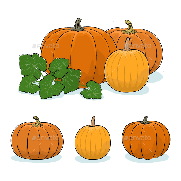 Pumpkin Vegetable, Edible Fruit - Food Objects