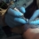 Tattooing On The Body.  - VideoHive Item for Sale