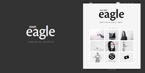 Eagle Freelancer & Agency Layers WP Child Theme Eagle Freelancer & Agency Layers WP Child Theme