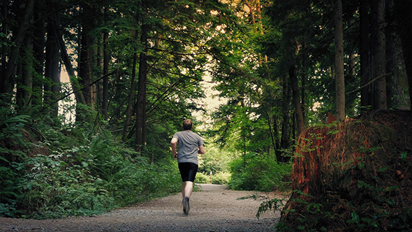 Man Jogs On Gravel Path Through National Park alt