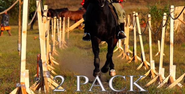 Knight's Horses  alt