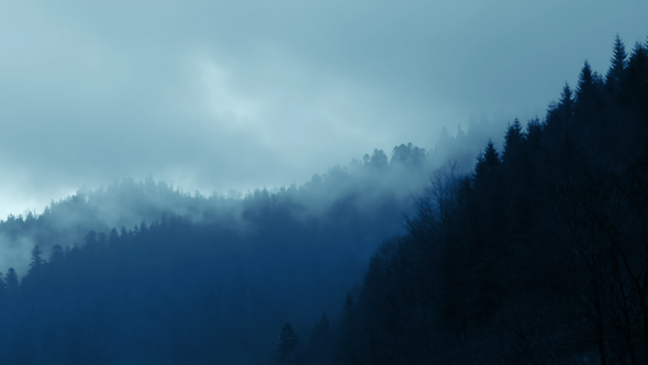 Clouds and Fog in the Forested Mountains alt