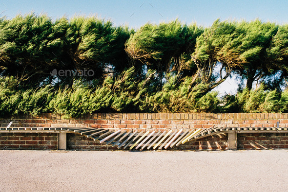 Bench in the Wind - Stock Photo - Images