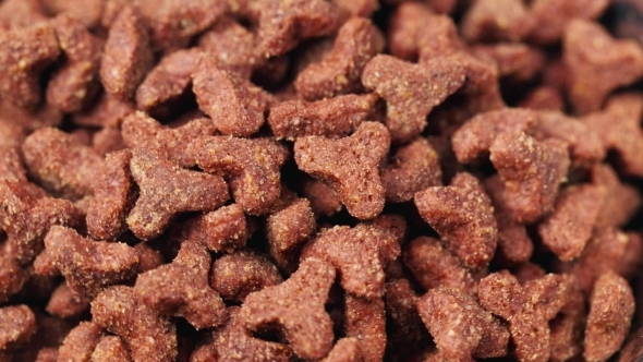 Pieces Of Cat Food alt