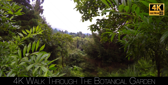 Walk Through The Botanical Garden 14 alt