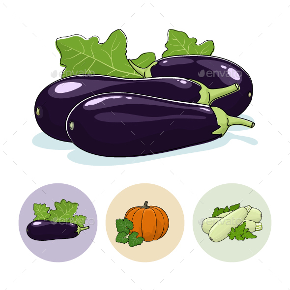 Icons Eggplant, Pumpkin, Zucchini - Food Objects