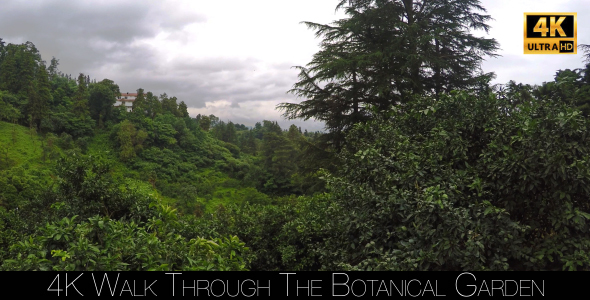 Walk Through The Botanical Garden 22 alt