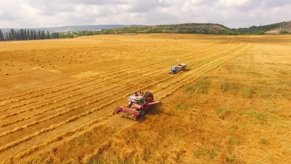 Tractor Moving Towards Combine In Wheat Field