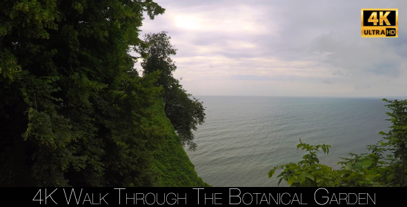 Walk Through The Botanical Garden 28 alt