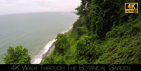 Walk Through The Botanical Garden 31 alt