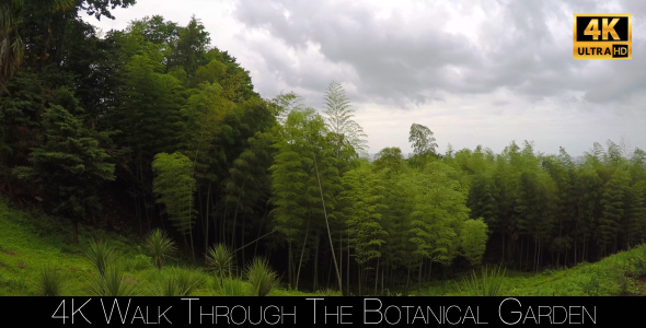 Walk Through The Botanical Garden 40 alt