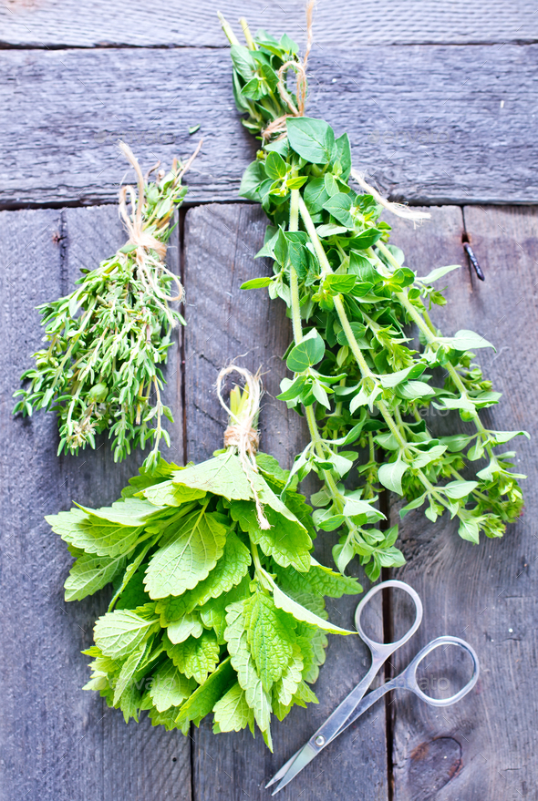 aroma herbs Stock Photo by tycoon101 PhotoDune