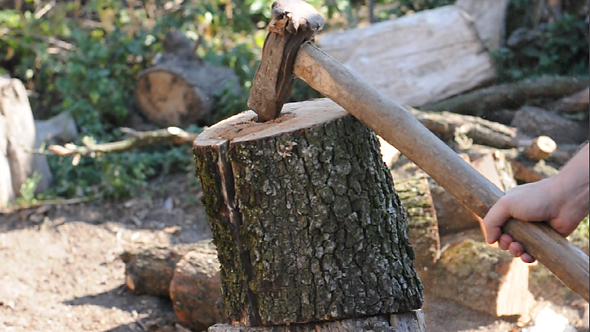 Logger Cutting Log