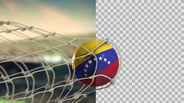 Soccer Ball Scoring Goal Day - Venezuela