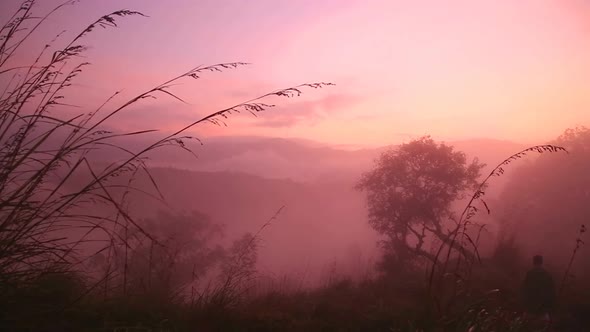 View Of Foggy Sunrise On The Little Adam's Peak In Ella, Sri Lanka 13 alt